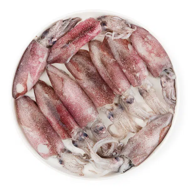 7FF5CF67950AE4A7.pngc600x0_q70